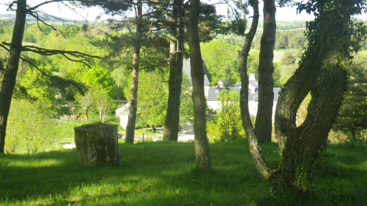 Mas De La Boheme - L'Hermet Saint-Léons Eksteriør billede